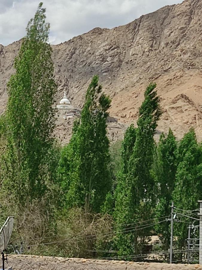 Paradise Leh Residency Экстерьер фото