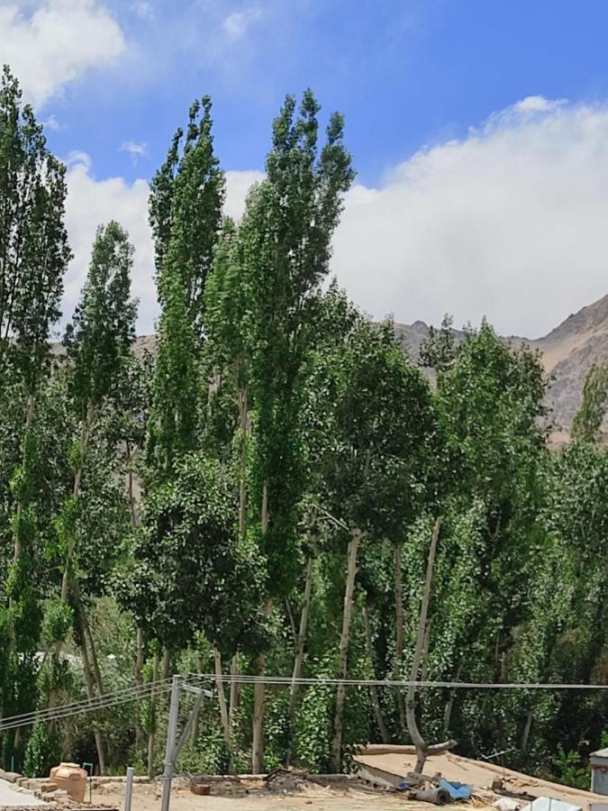 Paradise Leh Residency Экстерьер фото